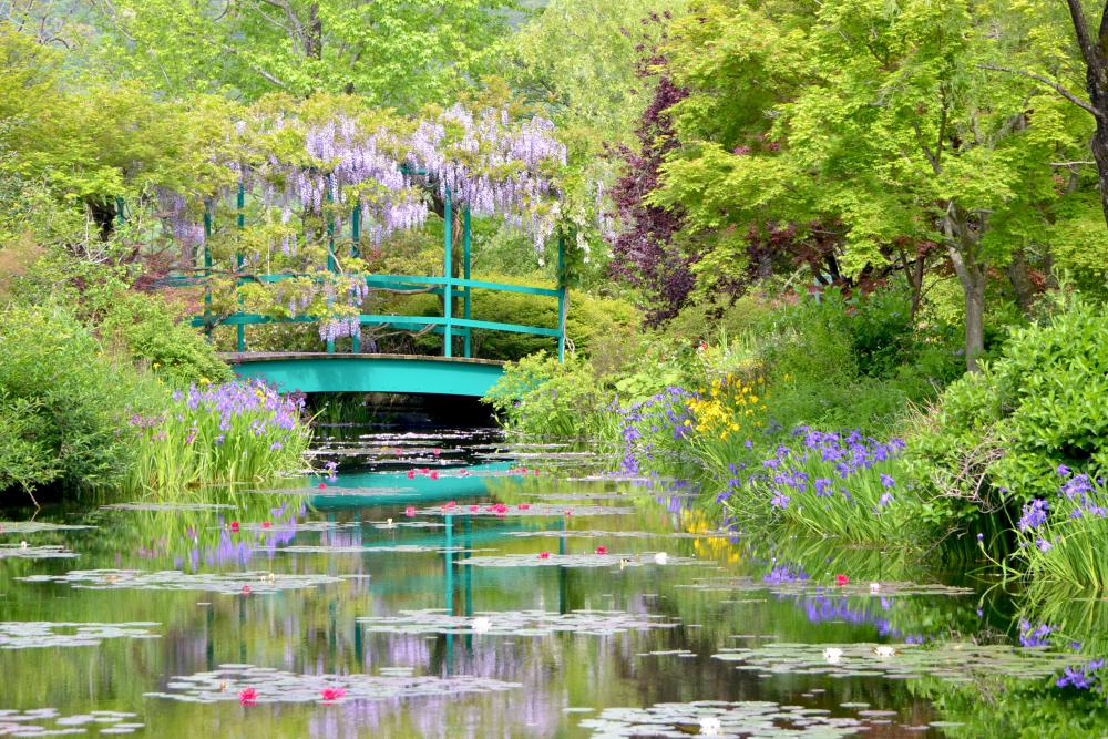 モネの庭「水の庭 睡蓮と藤」