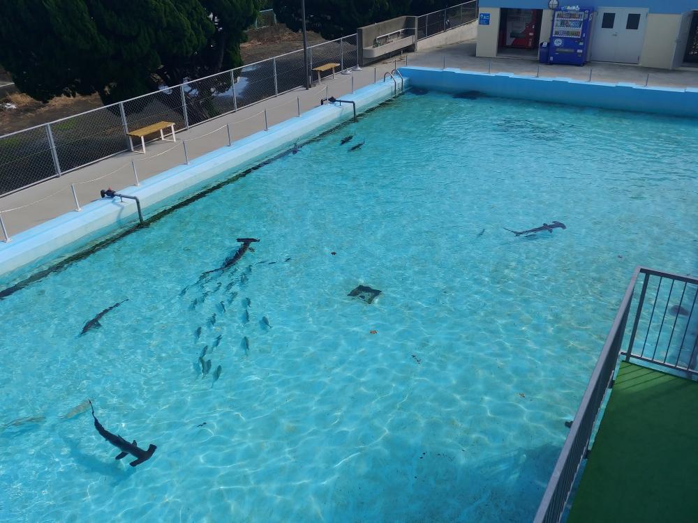 Muroto Schoolhouse Aquarium