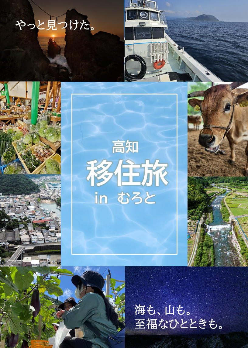 【大阪発着】令和７年度　室戸市まるごと移住体験等ツアー