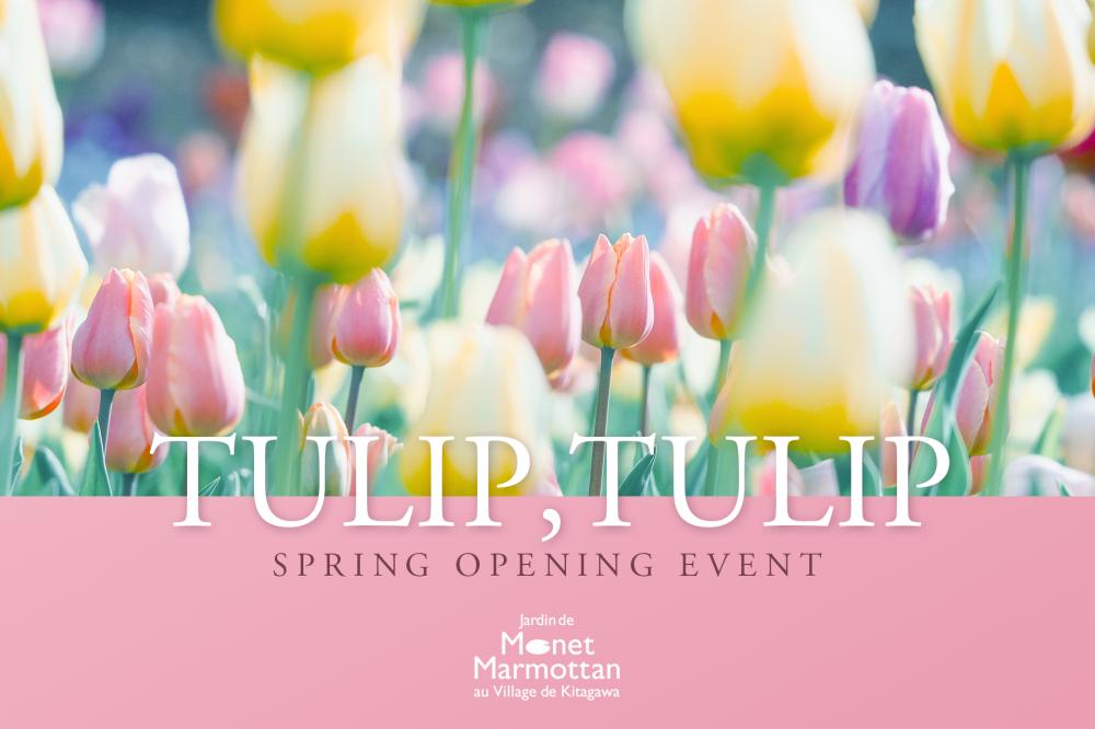  春のオープニングイベント「チューリップ，チューリップ」