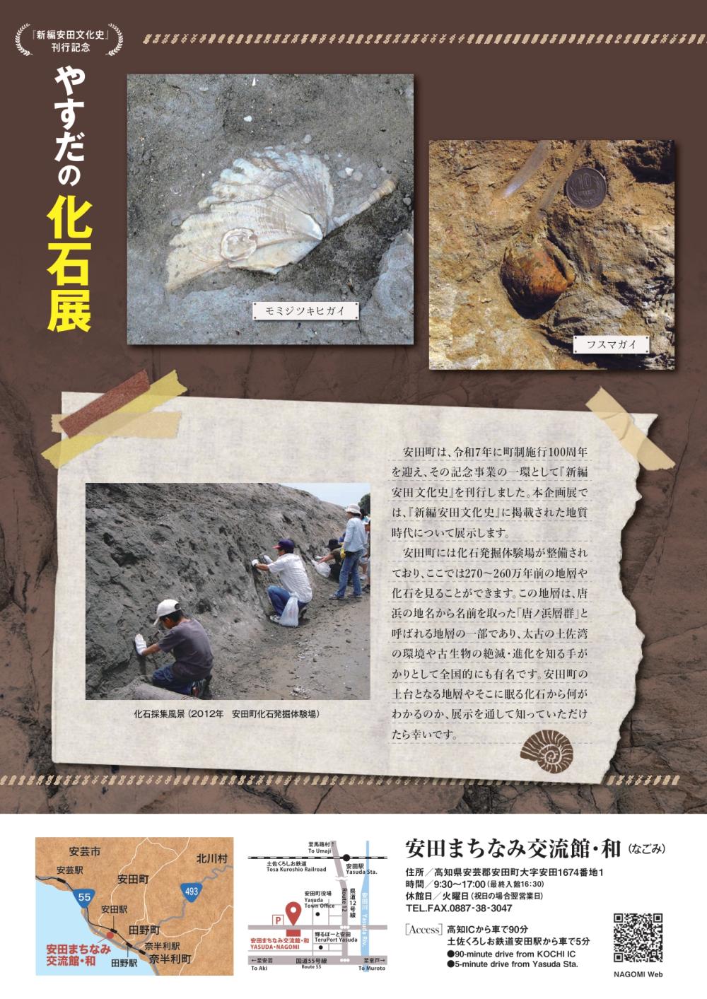  やすだの化石展