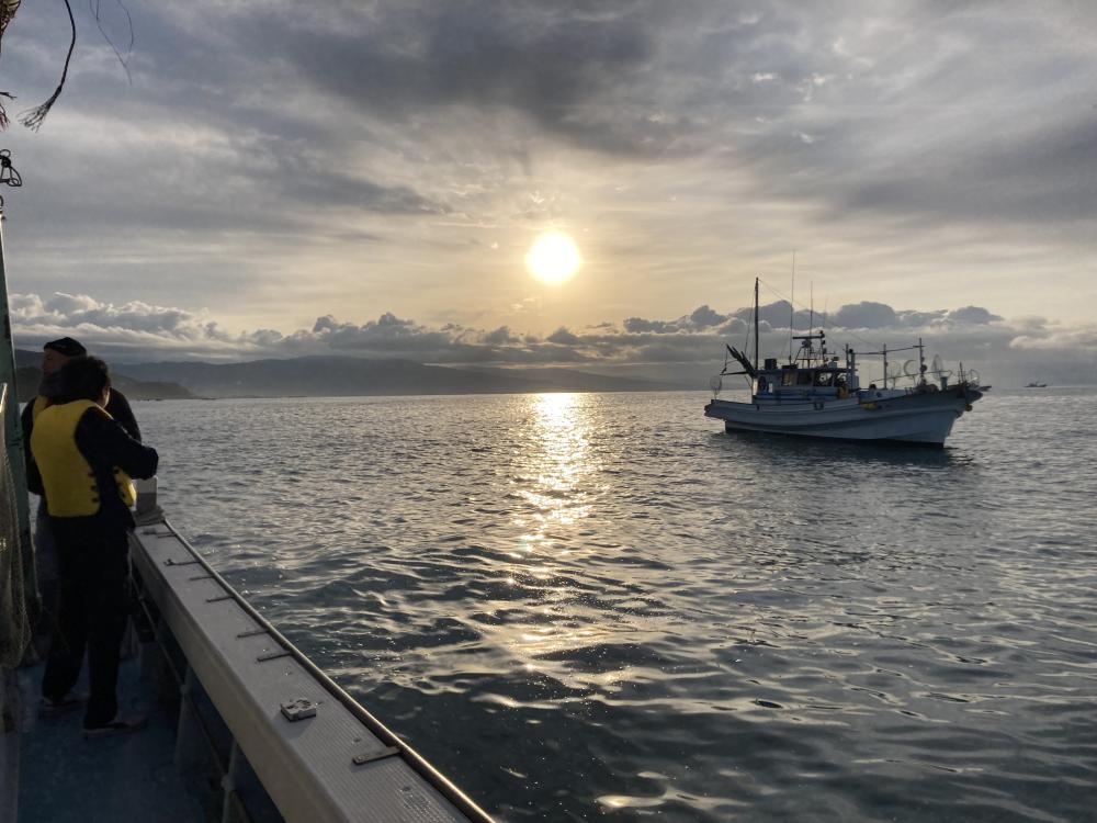  五感で感じるしらす漁師体験