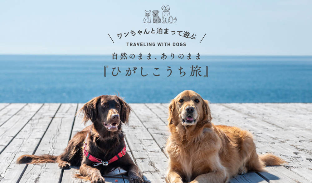「高知県でペットと遊んで泊まれる」特設ページが完成しました！