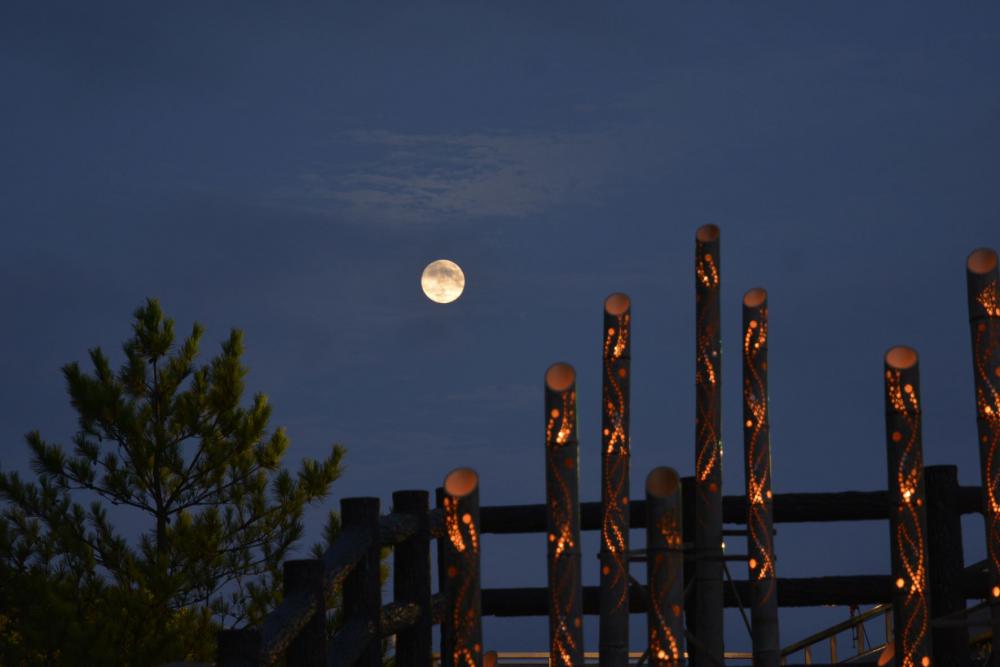 芸西村の「琴ケ浜にのぼる月」が日本百名月に認定されました！