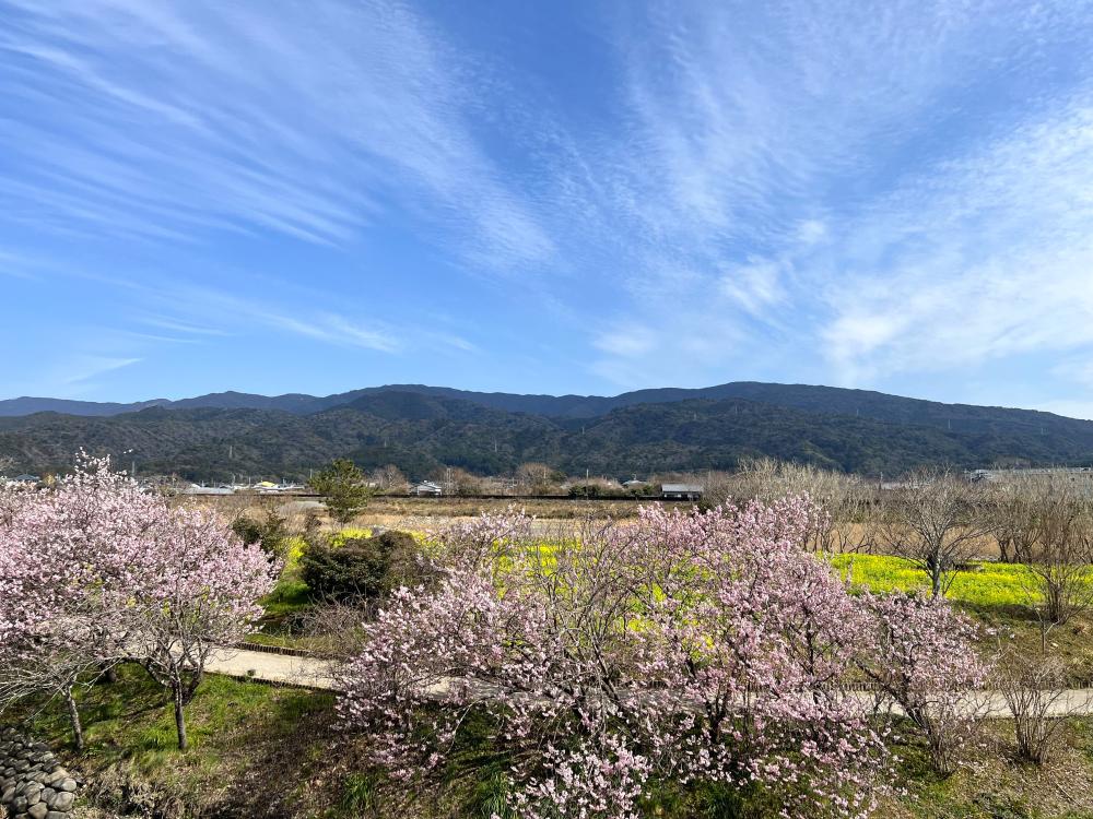  二十三士公園